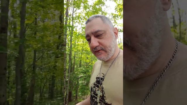 Мужи не послушайте жен ибо по заповеди Божией жены должны вас слушать а не вы их смотреть онлайн