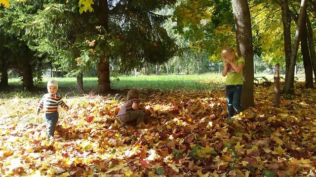 Трое детей в осенних листьях смотреть онлайн