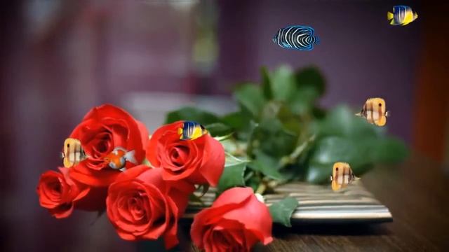 ФУТАЖИ -КРАСИВЫЕ РОЗЫ В ВОДЕ смотреть онлайн