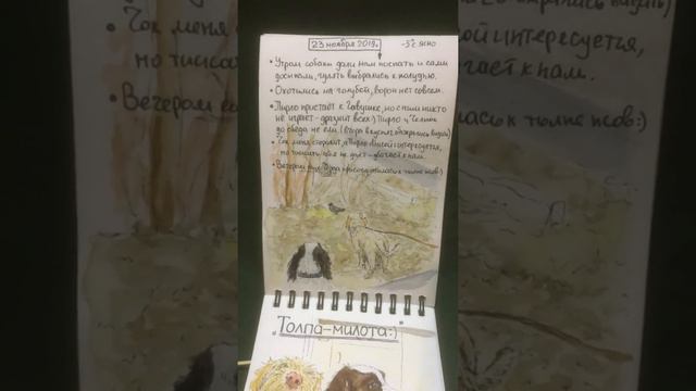 Sketchdog 2 (2-е видео из 3-х) смотреть онлайн