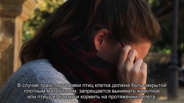 Нормы и тарифы на провоз предметов, сдаваемых в багаж Ural Airlines