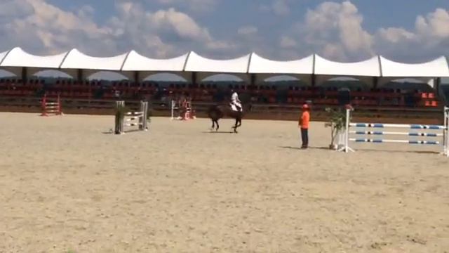 Гриффе 29.05.2016 перепрыжка смотреть онлайн