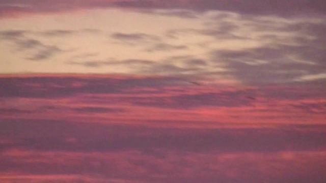 Птицы в рассвете - 00874.MTS смотреть онлайн