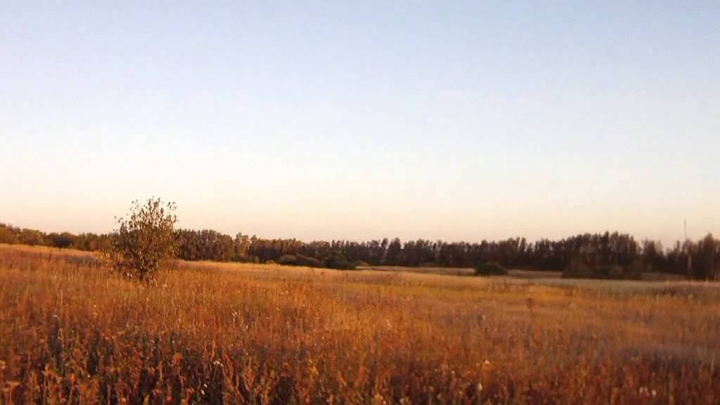 20. 09. 2015г смотреть онлайн