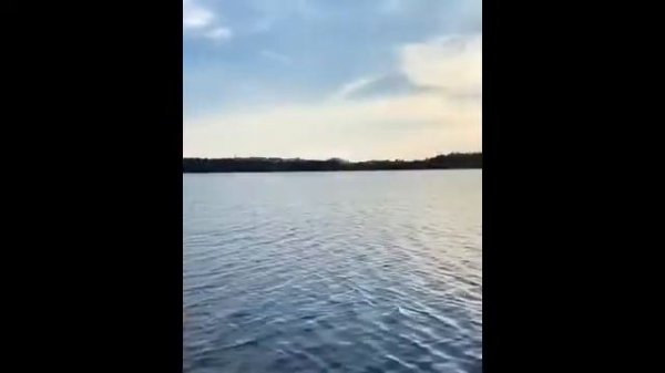 Hauser Cello   Besame Mucho   Historia De Un Amor 2020