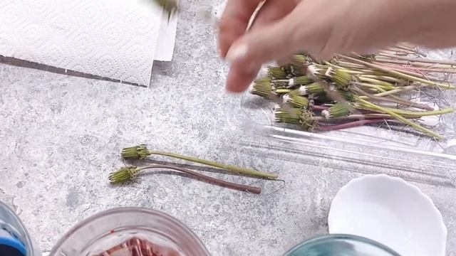 Цветные одуванчики! Как покрасить одуванчики смотреть онлайн
