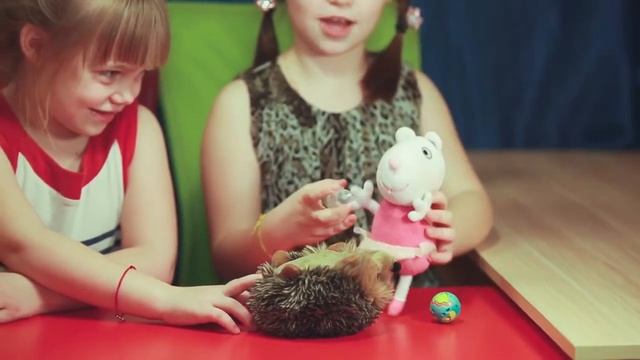 Разыгрываем сценка с игрушками Ежик у Доктора. Видео для детей. смотреть онлайн