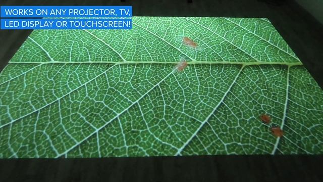 Ladybug Leaf - interactive floor or wall projector game from Lumo Play смотреть онлайн
