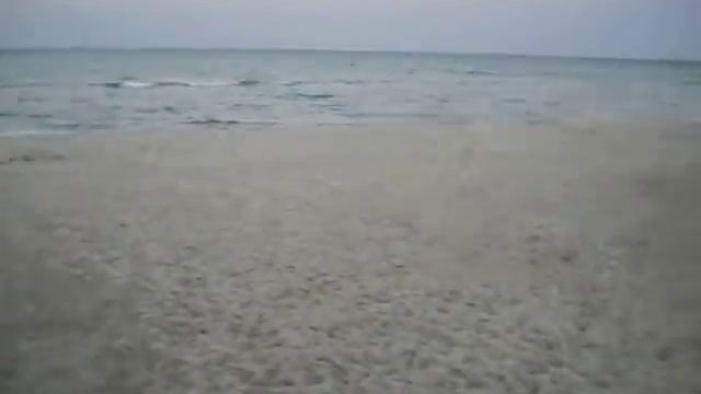 шум моря Тунис смотреть онлайн