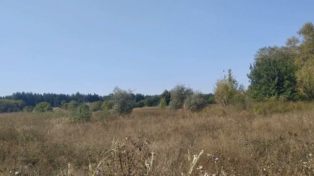 Золото носить нельзя ? Приметы про золото. Народные приметы и поверья. смотреть онлайн