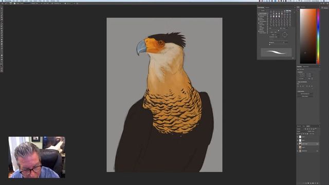 Drawing a Caracara from Natural Encounters - Live Stream! смотреть онлайн