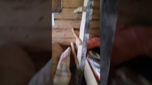 Настоящая русская изба