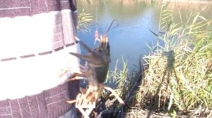 Рыбалка в Приморско Ахтарске