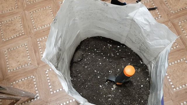 Реанимация грунта б/у. В квартире за год превратился в шикарный гунт. Ура! 12.02.24 смотреть онлайн