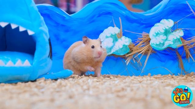 СПАСЕНИЕ БЕЗДОМНОГО КОТЕНКА ? Гаджеты богатых и бедных ? Лайфхаки для питомцев от 123 GO! TRENDS