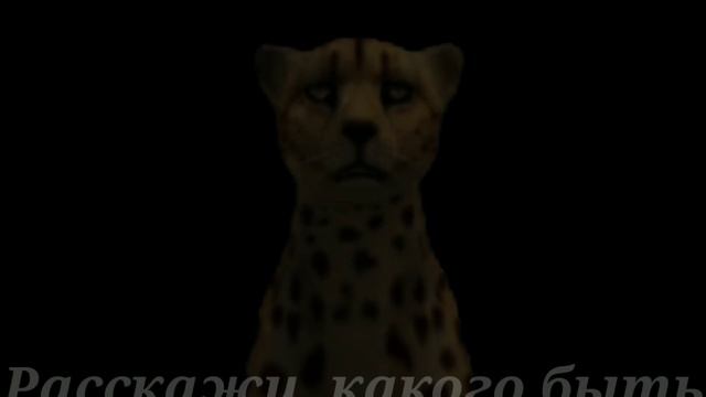 WCMV : Расскажи, какого быть девочкой смотреть онлайн