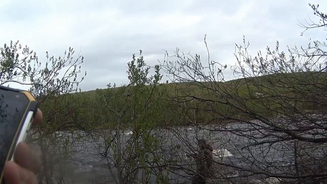 Ловим Сёмгу на 10 килограмм или King Salmon 2018 смотреть онлайн