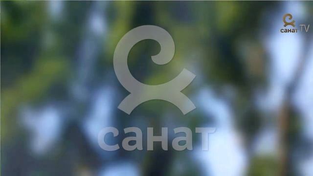 Ботаника 6 класс 26 сабак смотреть онлайн