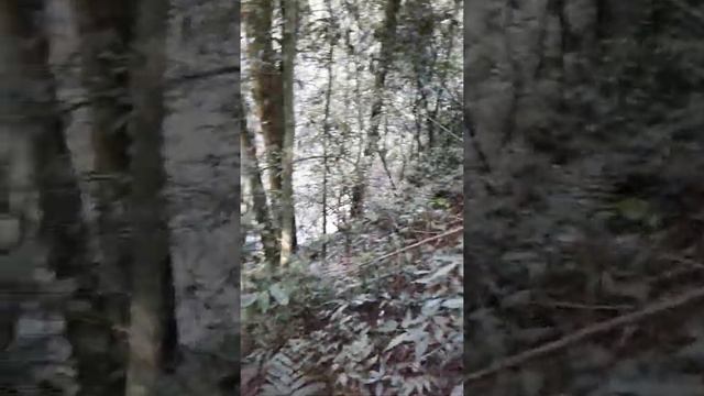 Aventura nas cavernas dos indios смотреть онлайн