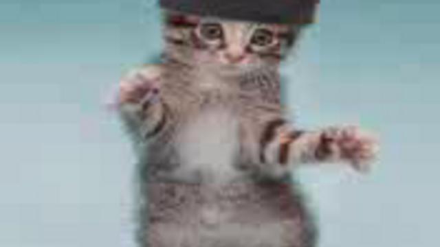 Кошачьи танцы смотреть онлайн