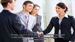 Алыча и слива: в чем отличия?