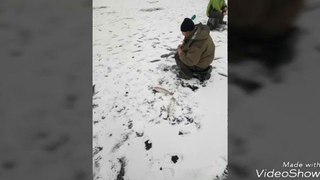 25.11.18. Круглосуточная рыбалка в кокино, сиг, форель, щука, смотреть онлайн