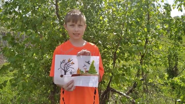 Берегите лес смотреть онлайн