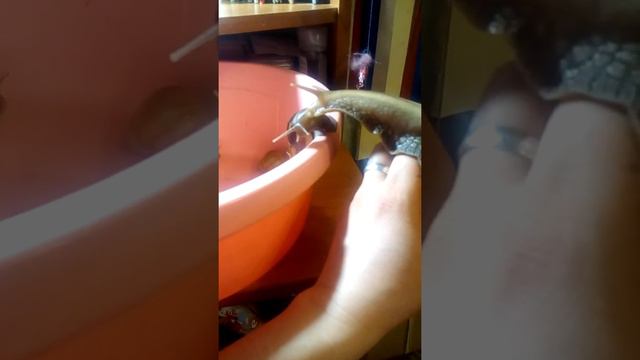 Общение)))улиток смотреть онлайн