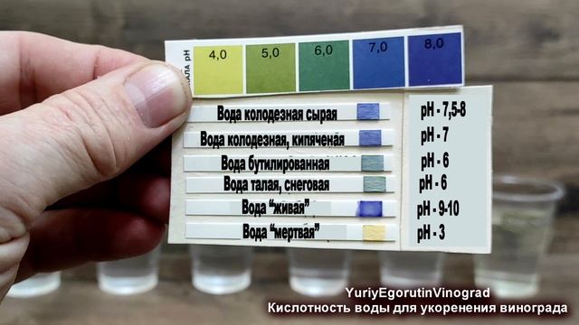 ? Никогда не укореняй ЧЕРЕНКИ ВИНОГРАДА в ЭТОЙ воде. Как зависит укоренение от КИСЛОТНОСТИ воды. pH смотреть онлайн