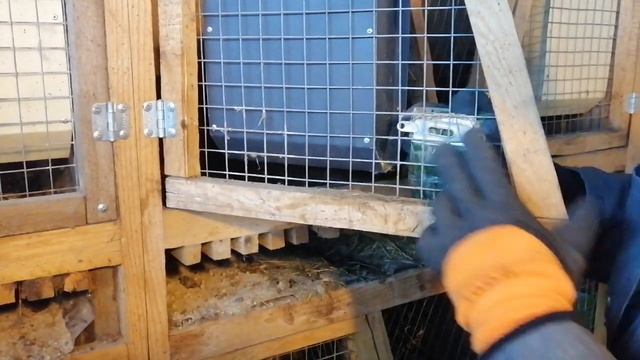Знакомство с крольчатником смотреть онлайн