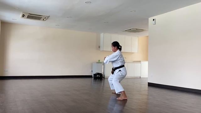 SHOTOKAN KARATE KATA BASSAI DAI |  STEP BY STEP FOR BEGINNERS