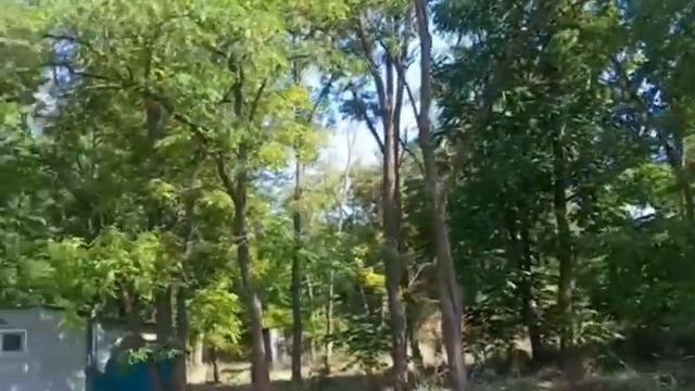 Завтрак. //Подвал готов. //Где трава? //Рыболовная база. // смотреть онлайн