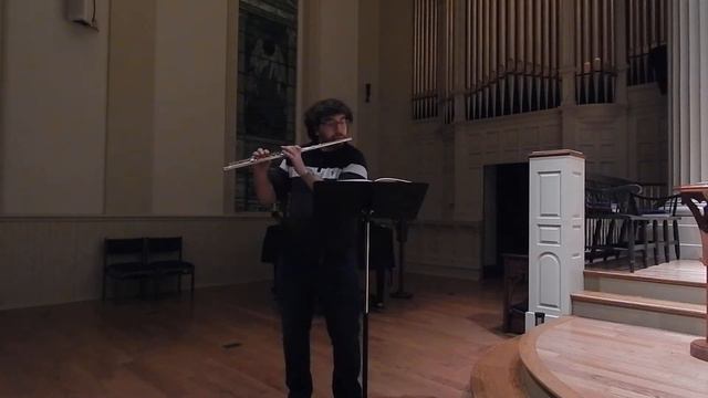 T. Berbiguier - Etude No. 4 in D Minor (Dominic Baldoni) смотреть онлайн