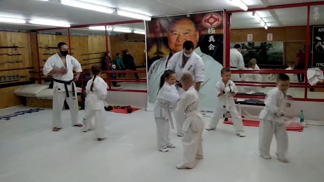 Каратэ дети 5-6 лет. сдаем на оранжевый пояс (полоску). Каратэ киокушинкай