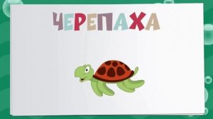 Обучающий мультфильм "Подводный мир"