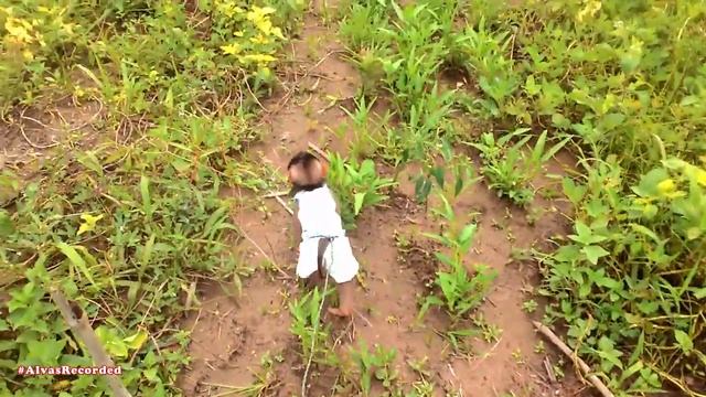 Baby Monkey | Hunting & Eating Locusts/Grasshopper