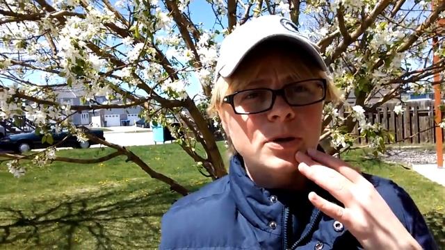 Дорожные приключения с мужчинами