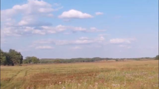 Уходит август тихими шагами смотреть онлайн