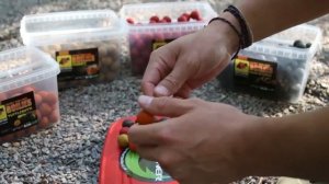 Ловля Карпа и Белого Амура. Прикормка