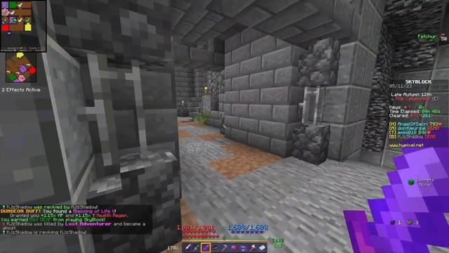 How I Completed My FIRST NUCLEUS RUN And FLOOR 1 In Hypixel Skyblock!!! (#15) смотреть онлайн