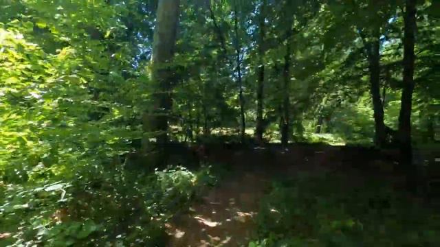 О бюрократии и комарах смотреть онлайн