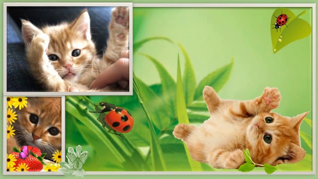 Рыжее чудо смотреть онлайн