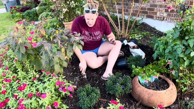 Transplanting Perennial Foxglove 🌸 Planting Asters, Rock Rose, Iris & Winter Annuals смотреть онлайн