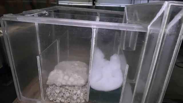 Aquarists of Russia Устройство БИОФИЛЬТРА. смотреть онлайн