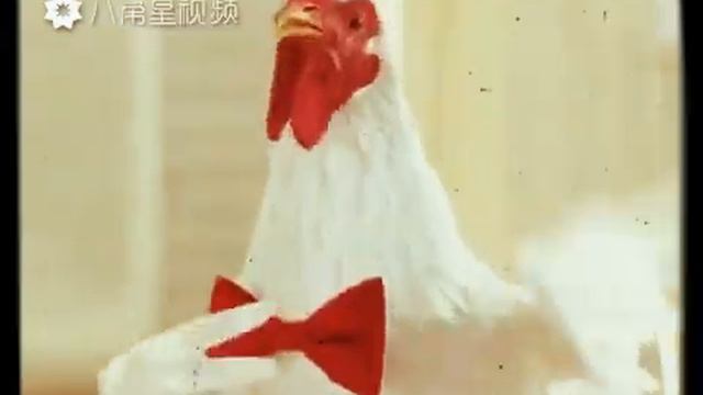 Новый год петуха... смотреть онлайн