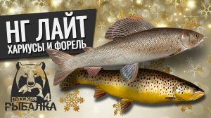 РУССКАЯ РЫБАЛКА 4 - Новогодний лайт 4 Хариус В., Хариус З. и Форель Р. Максимальный вес.