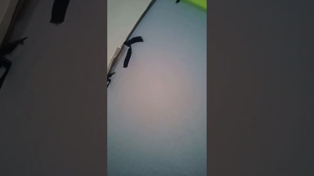 palatka смотреть онлайн