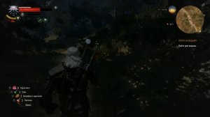 Ведьмак 3. Охота на ведьму