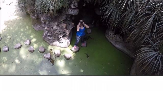 Quinta Da Regaleira - Sintra - Portugal