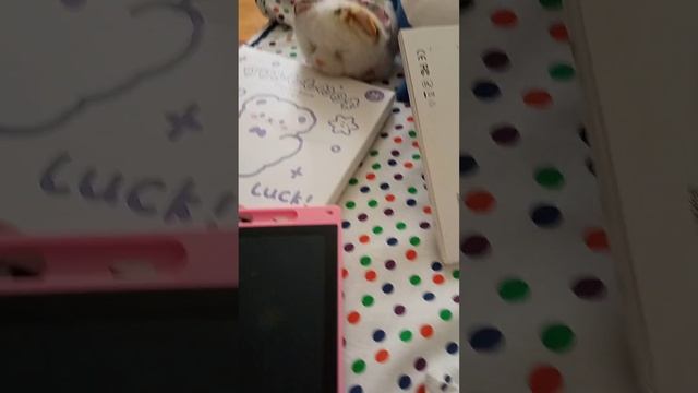 Мои подарки Ане на день защиты детей. Я ВАС ВСЕХ ОЧЕНЬ ЛЮБЛЮ. смотреть онлайн